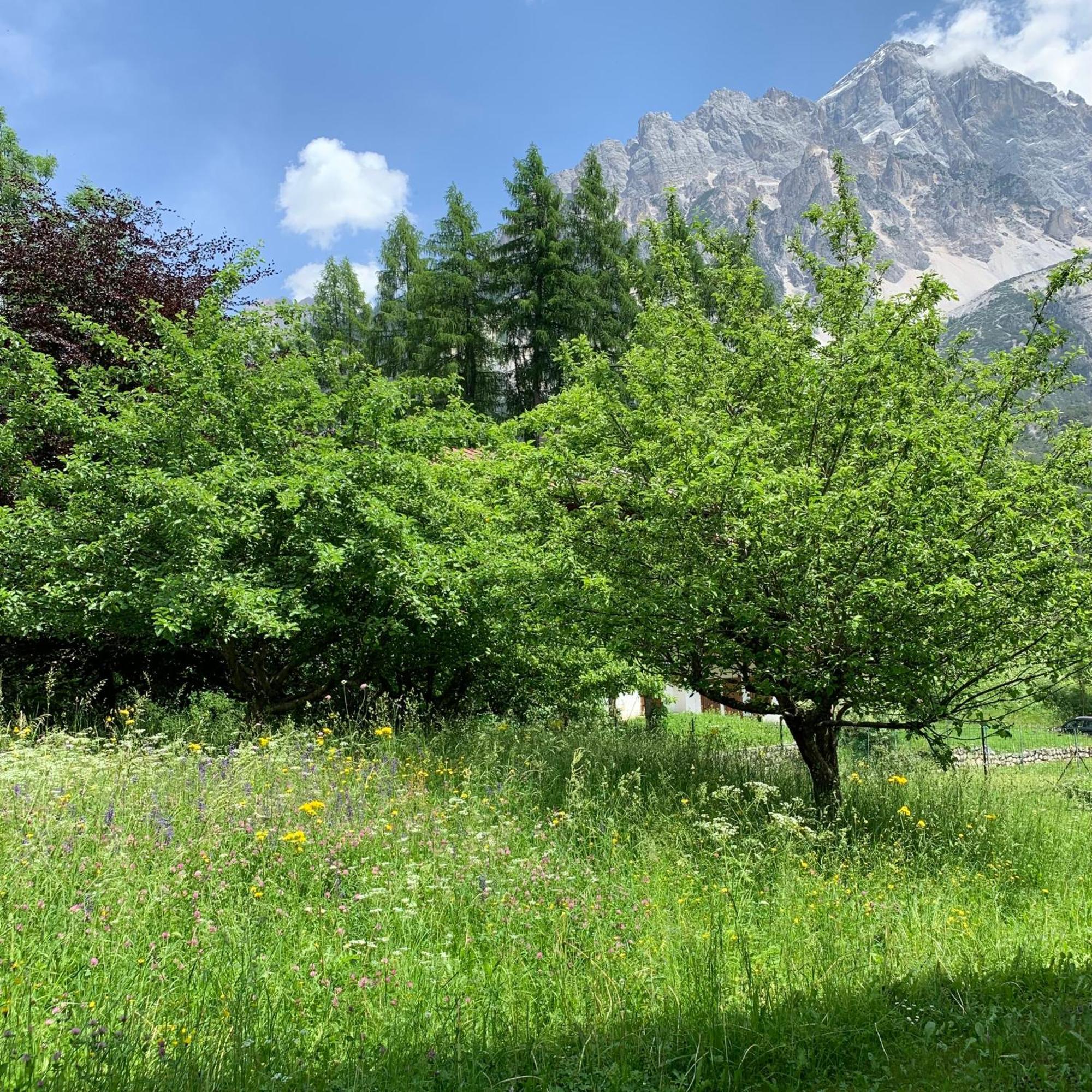 Piccolo Gioiello Di Montagna Leilighet Villanova  Eksteriør bilde
